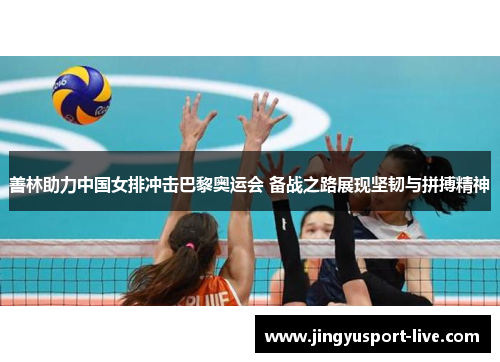 善林助力中国女排冲击巴黎奥运会 备战之路展现坚韧与拼搏精神