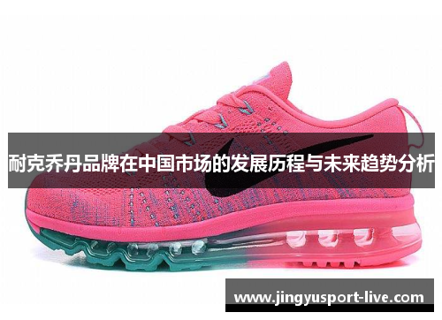耐克乔丹品牌在中国市场的发展历程与未来趋势分析